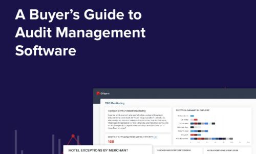 A Buyer’s Guide to Audit Management Software