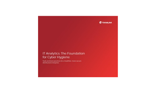 IT Analytics: The Foundation for Cyber Hygiene